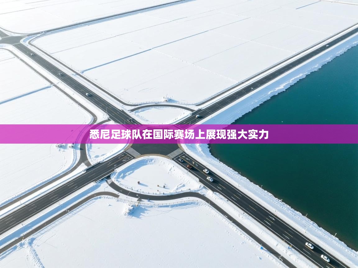 悉尼足球队在国际赛场上展现强大实力 第2张