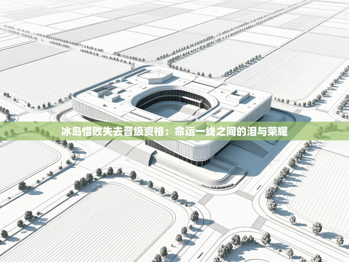 冰岛惜败失去晋级资格：命运一线之间的泪与荣耀  第2张